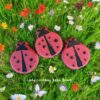 Lady Lovebug Bath Bomb 